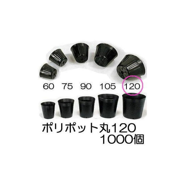 楽天市場】(徳用1000個入) ポリポット 12cm ポリ鉢 (スベールポット  