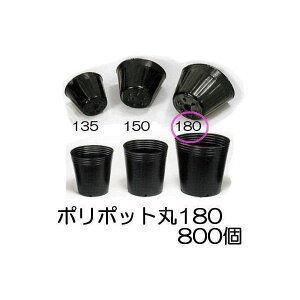 (p800) ||bg 18cm (m[}|bg) | ی^|bg  180 ꌊ1 a180mm×150mm {|̔