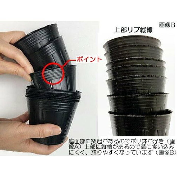 楽天市場】(1000個入特価) ポリポット 13.5cm ポリ鉢 丸型ポット 黒丸 