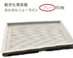 (50Zbg) c JJj[C O[ yJc (@llI)