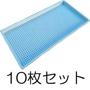 (10枚セット) ナーサリートレイ ライトグレー 穴径4mm×1300穴 水稲用 内寸580×280×29mm ナーサリートレー ナーセリートレイ 中成苗用育苗箱 (法人個人選択)
