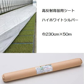 イワタニ 水稲用 ハイホワイトシルバー 厚0.05mm 幅230cm×50m 高反射育苗用シート 岩谷マテリアル (法人or運送会社営業所止め)