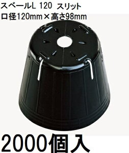 (p2000) ||bg | Xx[L (Xbg) 12cm G|bg  120 Xbg4 ꌊ1 e770cc _ |@llI