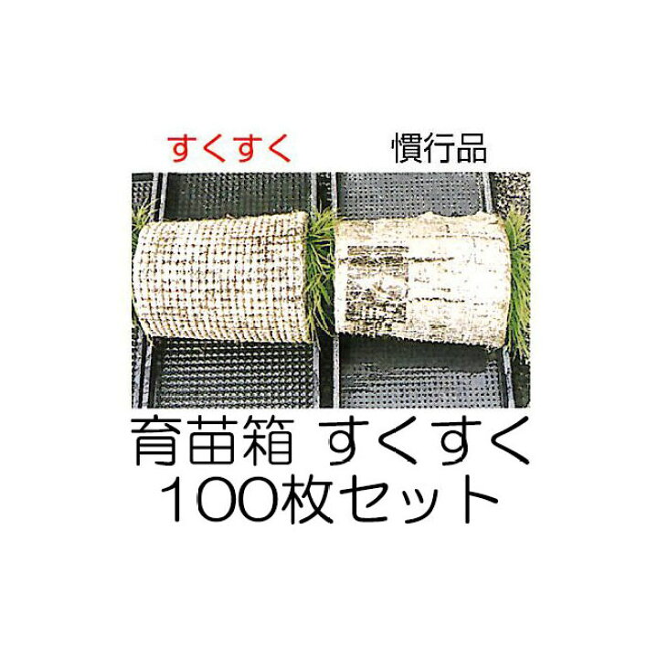 楽天市場】(100枚セット) 育苗箱 すくすく (中敷き不要) 軽労化育苗箱 
