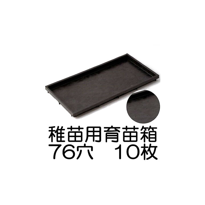 楽天市場】送料無料 (10枚セット) 稚苗用育苗箱 76穴 水稲用 内寸580 