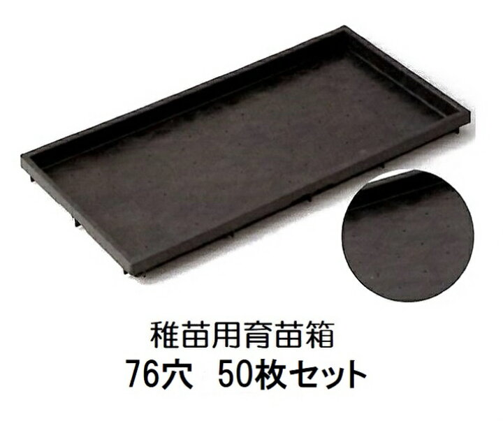 楽天市場】(50枚セット) 稚苗用育苗箱 76穴 水稲用 内寸580×280×30 