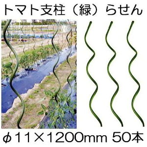 (50{Zbg) g}gpx 11×1200mm g}gpx 点` g}gx Z VZC (@ll I)