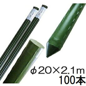 (100本セット) 園芸支柱 イボ付 鋼管竹 φ20mm×2.1m 農業用 イボ竹 シンセイ 20×2100mm (法人or個人選択)