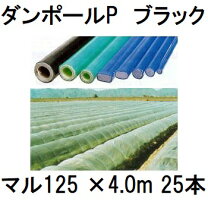 楽天市場】トンネル 支柱 ダンポールの通販