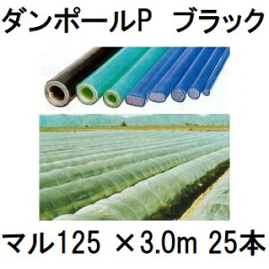 (25{Zbg) _|[P }125 ×3.0m  gl200cm (lzOK) m|x ƒ؉ glx x 돤Xn FGNV@saka