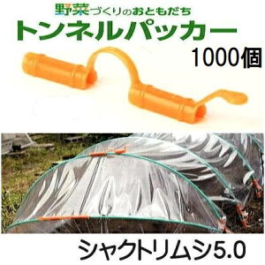 (1000Zbg) glpbJ[ VNgV5.0 5mm×97mm SE {