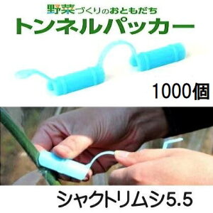 (1000Zbg) glpbJ[ VNgV5.5 5.5mm×97mm SE {