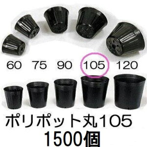 (p1500) ||bg 10.5cm | (Xx[|bg)  105 ꌊ1 a105mm×90mm _ށ@zs