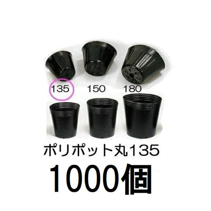 楽天市場】(1000個入特価) ポリポット 13.5cm ポリ鉢 丸型ポット 黒丸 