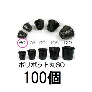 (100Zbg) ||bg 6cm | ی^|bg  60 ꌊ1 a60mm×54mm _ (쓙or^[pbN)@zs