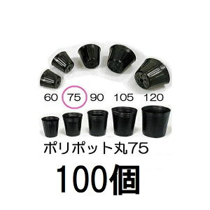 (100) ||bg 7.5cm | (Xx[|bg)  75 ꌊ1 a75mm×68mm _ (쓙or^[pbN)@zs