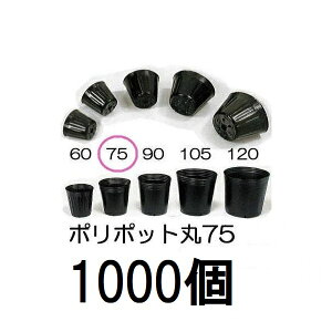 (1000) ||bg 7.5cm | (Xx[|bg)  75 ꌊ1 a75mm×68mm _ށ@zs