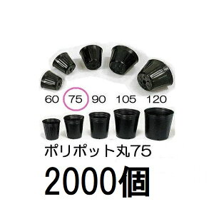 (2000) ||bg 7.5cm | (Xx[|bg)  75 ꌊ1 a75mm×68mm _ށ@zs