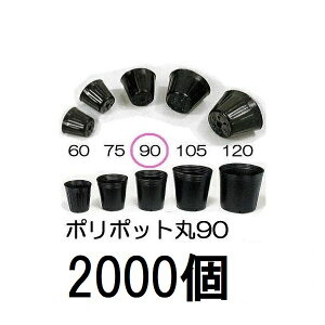 (p2000) ||bg 9cm | (Xx[|bg)  90 ꌊ1 a90mm×77mm _ށ@zs