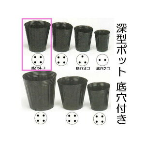 (p1200) ||bg | [^|bg 12cm [  120 130mm e970cc ꌊ4 _ CNK |@llI