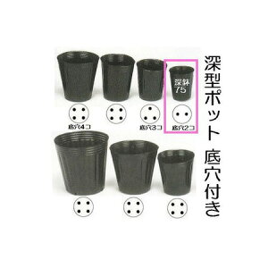 (p4000) ||bg | [^|bg 7.5cm [ 75 90mm e280cc ꌊ2 _ |@llI