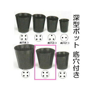 (p1000) ||bg | [^|bg 15cm [ 150  ꌊ4 150mm e1850cc _ CNK |@llI