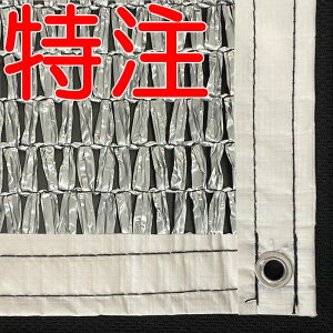 (lzs) TCY tngH Ռlbg Vo[O[ #2000SG Ռ85`90 _CIbZ (CmxbNX ՌV[g ՌJ[e)