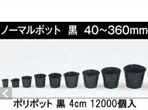 (12000) ||bg 4cm (m[}|bg) | ی^|bg  40 ꌊ1 a40mm×44mm {|̔