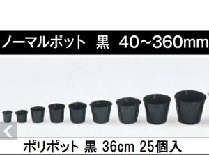 (25) ||bg 36cm (m[}|bg) | ی^|bg  360 ꌊ1+Jh4 a360mm×320mm {|̔