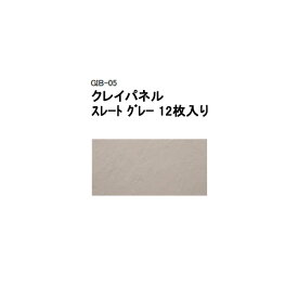 (タカショー アウトレット) クレイパネル　スレート グレー 12枚入り　GIB-05 / 40631900[タカショー エクステリア 庭造り DIY 瀧商店]