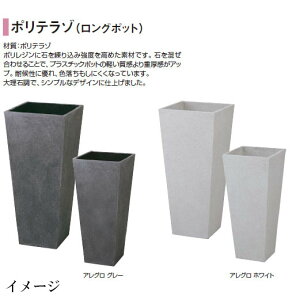 �|���e���] (�����O�|�b�g) �A���O�� (��) (PIA-L01LG 36798600 �O���[/PIA-L01LW 36799300 �z���C�g) (�^�J�V���[ �v�����^�[ �돤�X)