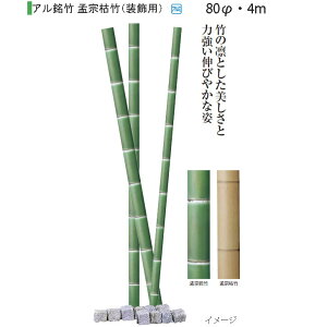 ypzO[fR A| Џ@͒|(p)(62992300 80ӁE4m)m^JV[ |pi GNXeA _@ 돤X]