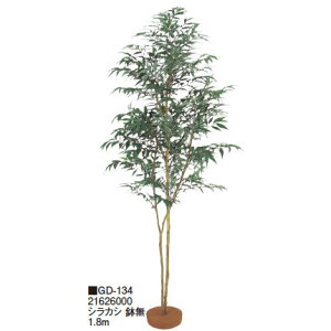 ypz VJV  1.8m(GD-134 21626000)m^JV[ |pi GNXeA _@ 돤X]