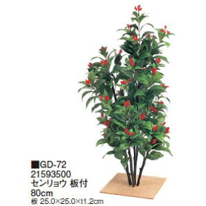 ypzt ZE t 80cm(GD-72 21593500)m^JV[ |pi GNXeA _@ 돤X]