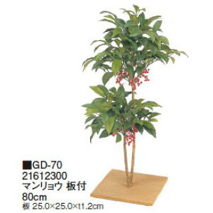 ypzt }E t 80cm(GD-70 21612300)m^JV[ |pi GNXeA _@ 돤X]