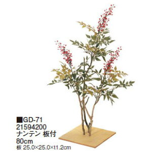 ypzt ie t 80cm(GD-71 21594200)m^JV[ |pi GNXeA _@ 돤X]