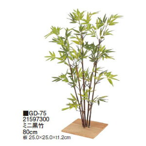 ypzt ~j| 80cm (GD-75 21597300) m^JV[ |pi GNXeA _@ 돤X]