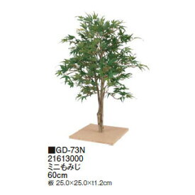 楽天市場 もみじ 室内の通販