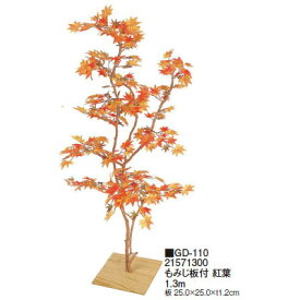 楽天市場 もみじ 室内の通販