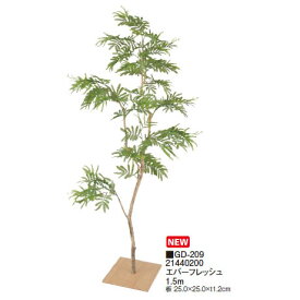 楽天市場 ネムノキ 室内の通販