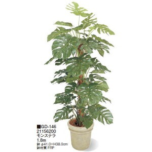 ypzϗtA O[fRt Xe 1.8m(GD-146 21156200)m^JV[ |pi GNXeA _@ 돤X]