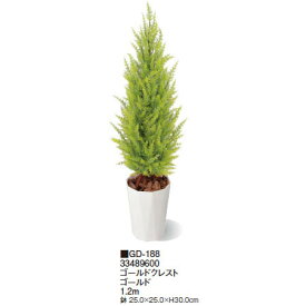 【室内用】観葉植物 グリーンデコ鉢付 ゴールドクレスト ゴールド 1.2m(GD-188 33489600)［タカショー 園芸用品 エクステリア 農機具 瀧商店]