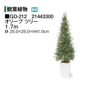 (p) O[fRt I[u c[ 1.7m (GD-212 21443300)m^JV[ |pi GNXeA _@ 돤X]