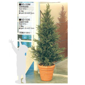 ypzO[fRt ~c[ 1.8m(GD-153S 33431500)m^JV[ |pi GNXeA _@ 돤X]