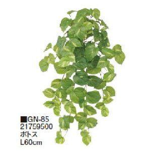 O[ObY a |gX L60cm(GN-85 21759500)pm^JV[ |pi GNXeA _@ 돤X]