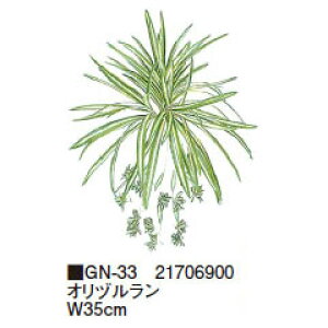 O[ObY a Id W35cm(GN-33 21706900)pm^JV[ |pi GNXeA _@ 돤X]