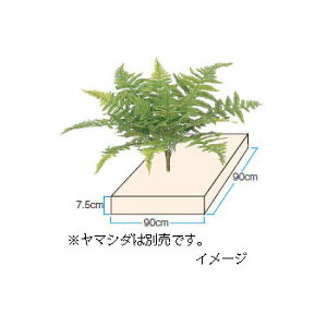 O[ObY a dX`[(~p)(KS-90 95010200)pm^JV[ |pi GNXeA _@ 돤X]