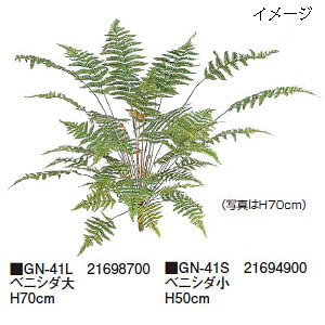 O[ObY a xjV_ H50cm(GN-41S 21694900)pm^JV[ |pi GNXeA _@ 돤X]