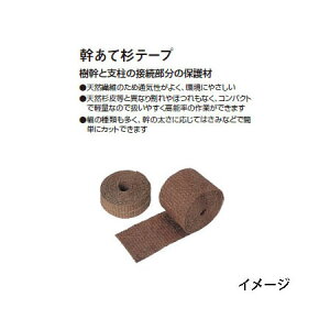 �Ή����p�e�[�v �����Đ��e�[�v 30796800(NS-25) 1���m�^�J�V���[ �돤�X]