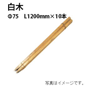 公共工事用杭 白木 φ75mm 4尺(L1200mm)×10本55624300 KYS-47［タカショー 瀧商店]